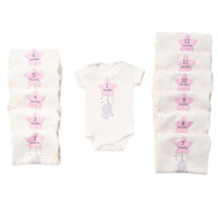 month bodysuit 12 pcs from  1 to 12 months