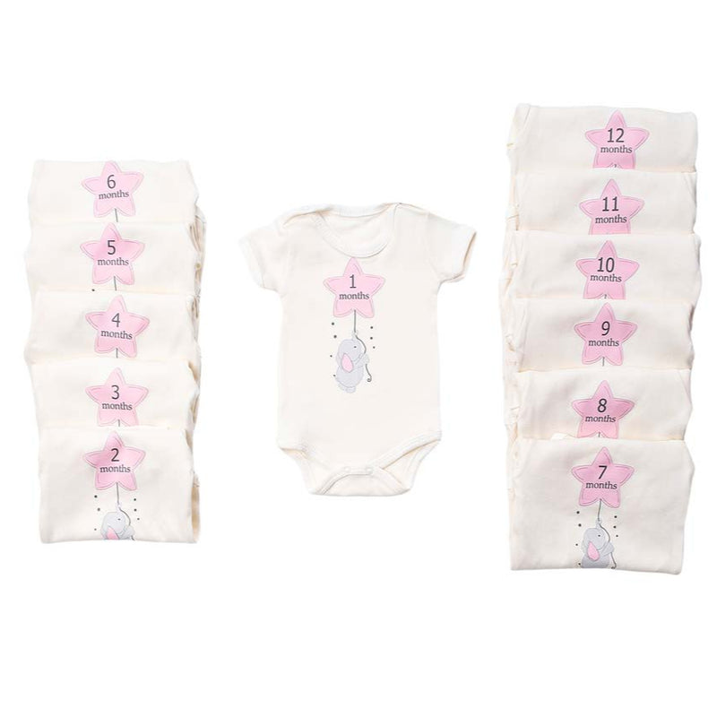 month bodysuit 12 pcs from  1 to 12 months
