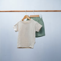 short sleeve t-shirt  and short set for toddler boy
