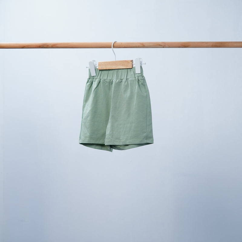 short sleeve t-shirt  and short set for toddler boy