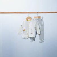 set of 4pcs new born cotton penguin