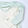 pack of 2 bodysuits long sleeve baby boy green car