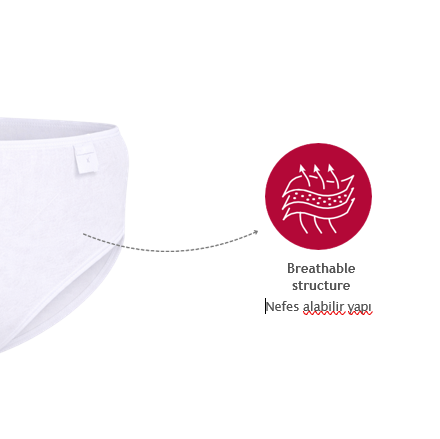 Pack of 5 disposible puerperant underwear for postpartum  mom
