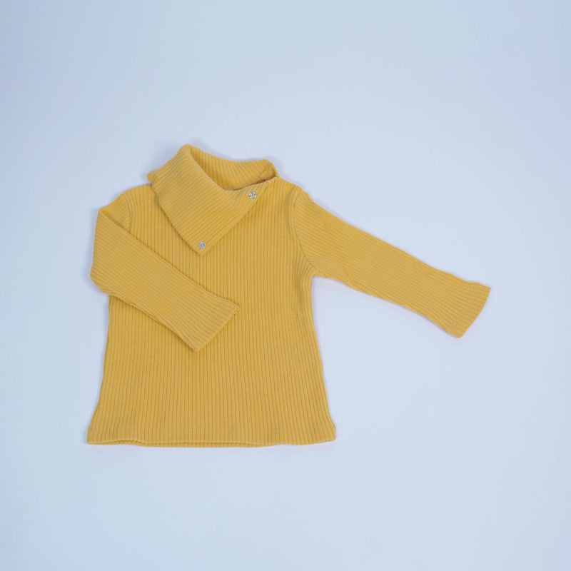 Basic Turtleneck Sweatshirt wool winter basics